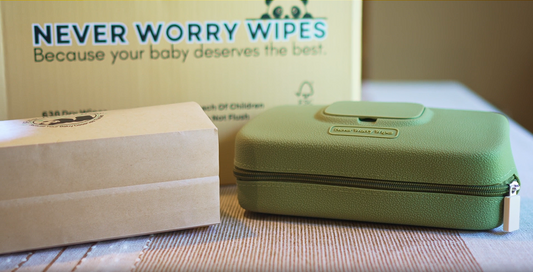 Never Worry Pouch